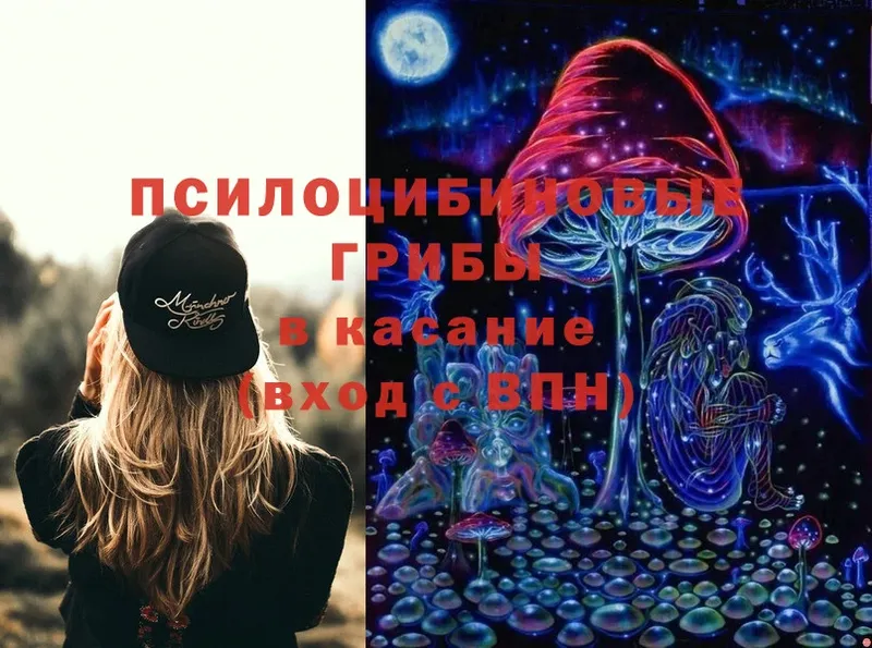 Галлюциногенные грибы Psilocybine cubensis  Новопавловск 